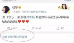 51今日吃瓜明星黑料,明星黑料揭秘，真相与谣言的较量